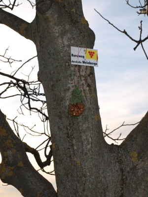 Rundweg plus Vogelfutter