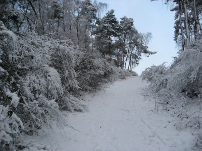 Winterzauber