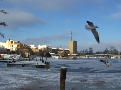 Winterliche Müggelspree