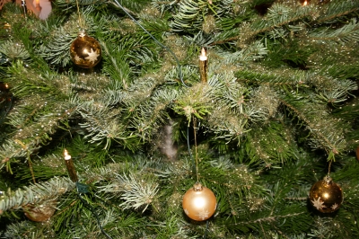 Unser Weihnachtsbaum 2009