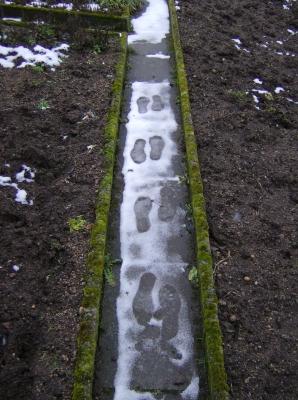 Verwirrende Spuren im Schnee
