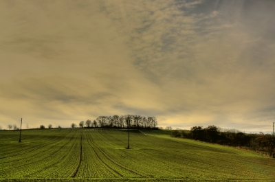 Weites Land - HDR