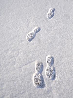 Spuren im Schnee: Hintergrund - Foto,  Briefpapier