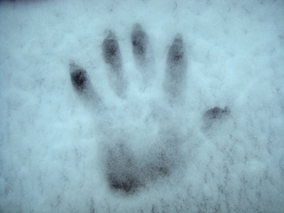 Kalte Hand im Schnee