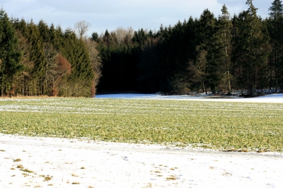 Winterlandschaft 2