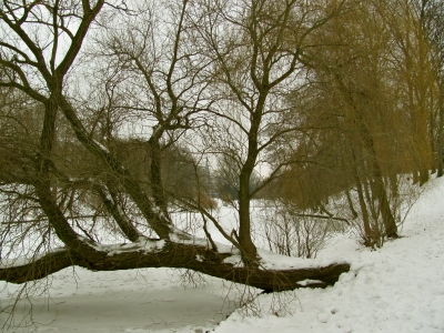 Winter im Volkspark