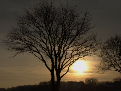 Sonnenaufgang im Winter