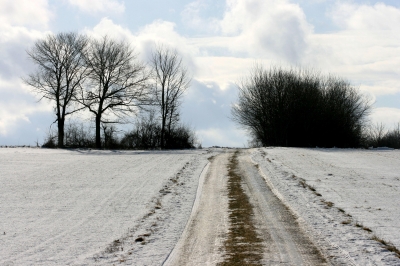 Winterlandschaft 4