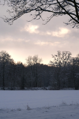 Letzte Sonnenlicht