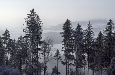 Ausblick in den Schwarzwald