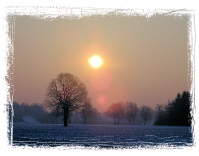 Wintermorgen