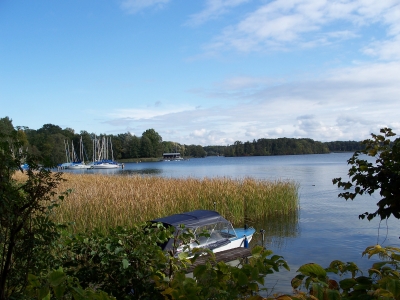 boot im schilf