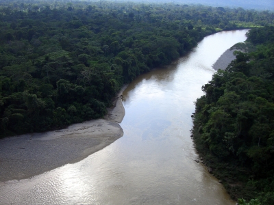 Dschungel und Fluss