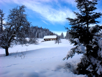 Bergbauernof Truppe im winter
