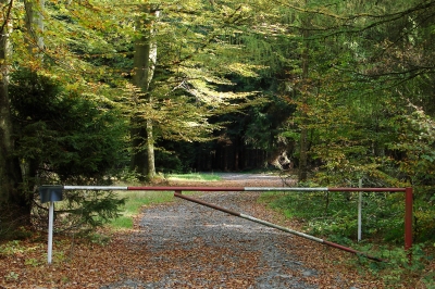 beschrankter Waldweg