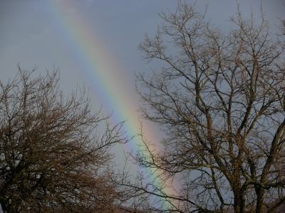 Regenbogen 4