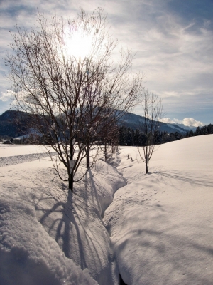 Hausbach im Winter