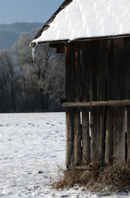 Die alte Hütte