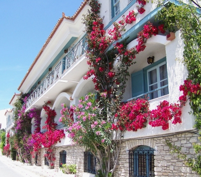 Samos, Blumenschmuck an Fassade