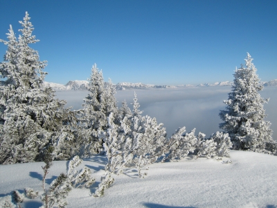 Winter in den Bergen