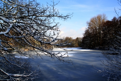 Stimmung im Schnee