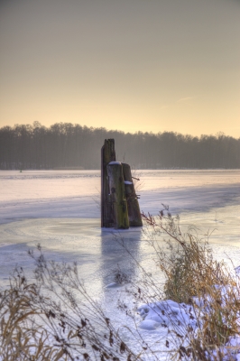 Winter am See