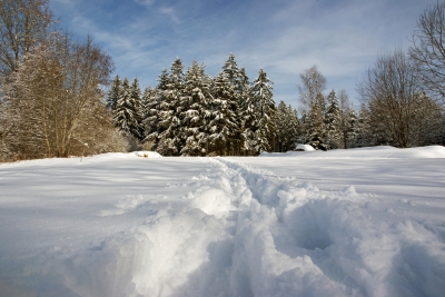 Tiefschnee wandern