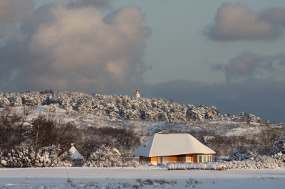 Hiddensee im Winter 2