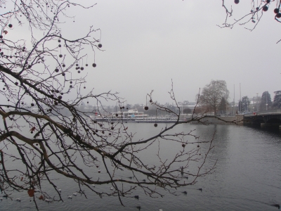 winterlicher Zürichsee