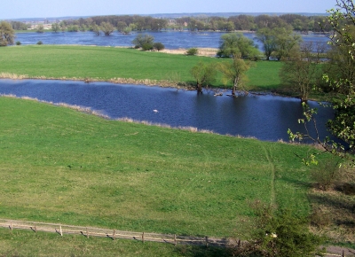 Oderbruch, Blick nach Polen