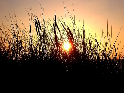 Untergehende Sonne am Meer