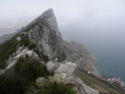 Gibraltar Affenfelsen