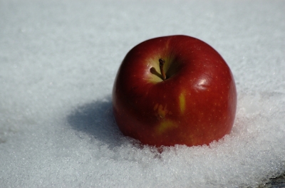 Apfel im Schnee