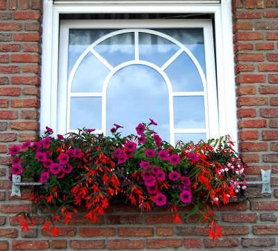 Blumenfenster 1