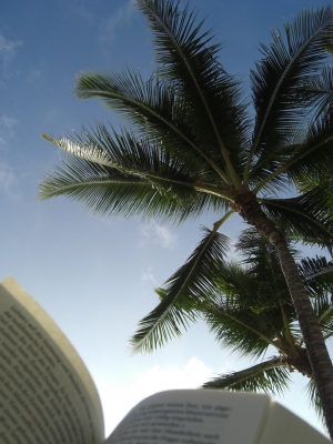 Urlaub unter Palmen