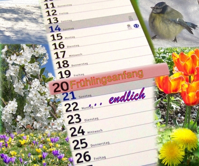 20.März 2010 lt. Kalender Frühlingsanfang