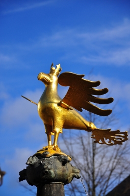 Goldener Adler