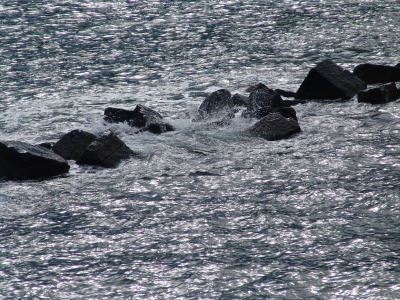 Steine im Meer