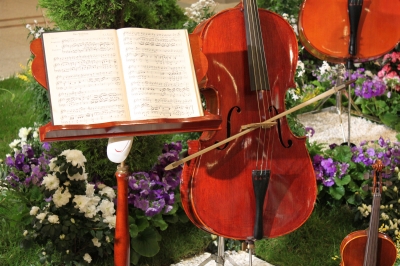 Violoncello