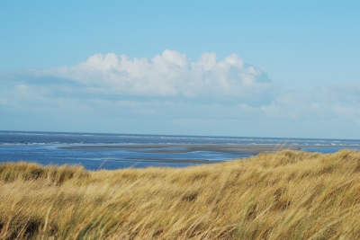 Dünen mit Strand und Priel im Winter auf Langeoog...