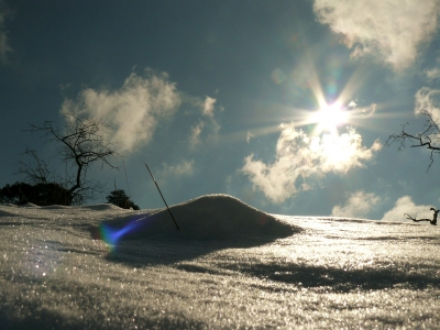 Noch einmal Schnee !