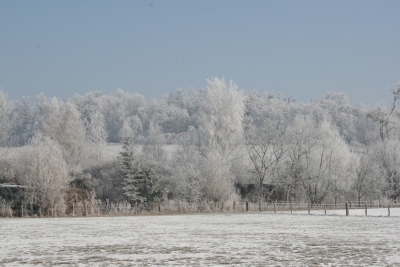 Blick zu unserem " Hausberg", dem Schafberg