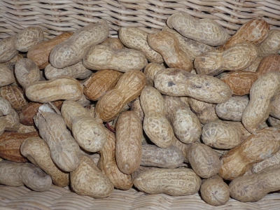 Erdnüsse
