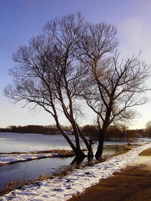 Immer noch Winter