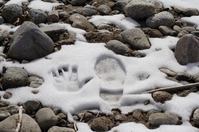 Spuren im Schnee