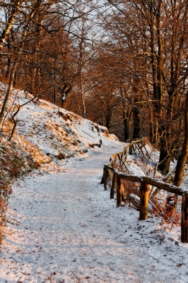 Winter im Broichbachtal