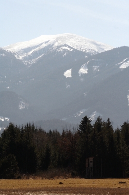 Schnee am Gaberl