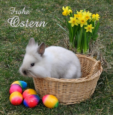 "Frohe Ostern"