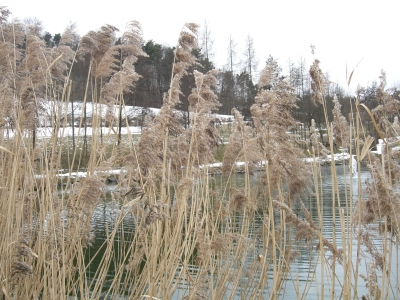 Winter in Loipersdorf