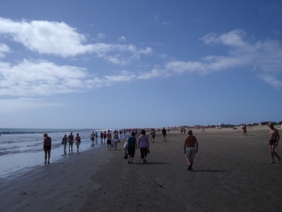 Die Strandläufer von Playa